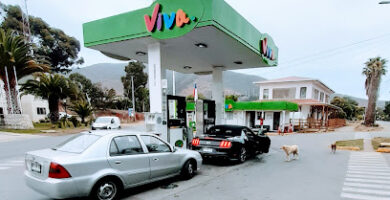 Gasolinera VIVO