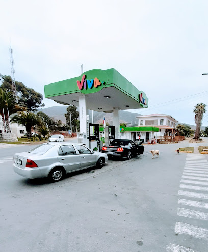 Gasolinera VIVO