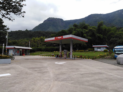 Gasolinera Terpel