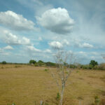 E.D.S EL VIAJERITO ARAUCANO Saravena, Arauca, Colombia