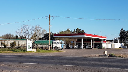 Estación de Servicio