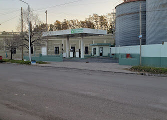 Estacion De Servicio