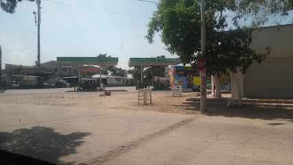 ESTACION DE SERVICIO DE SANTO TOMAS