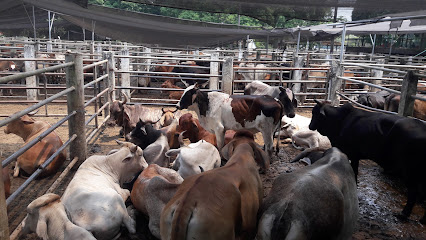 Estacion De Servicio Guacamayas