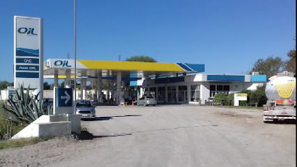 ESTACION DE SERVICIO OIL - LAS TONINAS - GNC