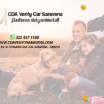 Cda Veryficar Saravena, Arauca, Colombia